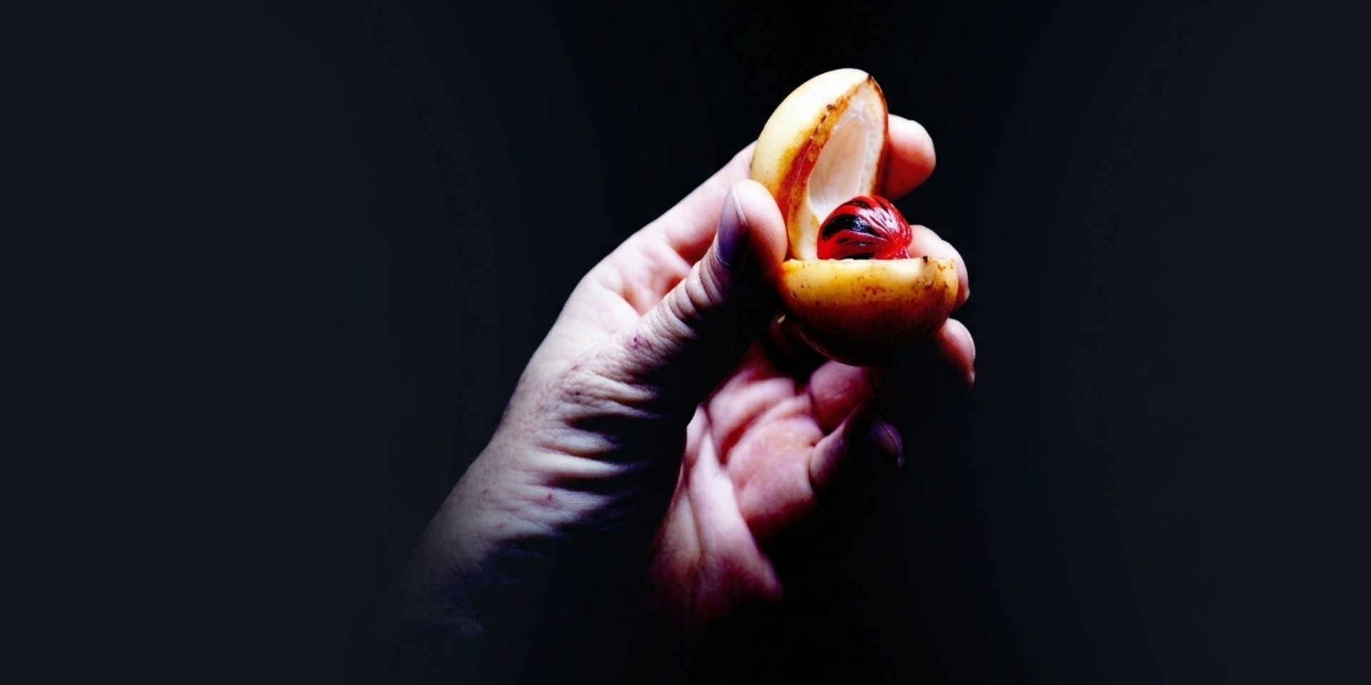 Nutmeg held against a dark background for an article about natural aphrodisiacs